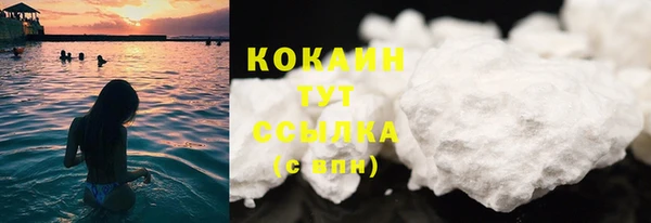 дживик Бронницы