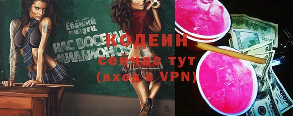 дживик Бронницы