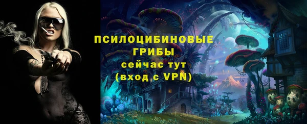 дживик Бронницы
