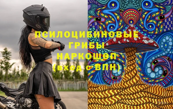 марки lsd Бородино