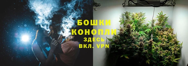 дживик Бронницы