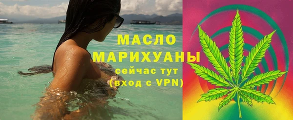 дживик Бронницы