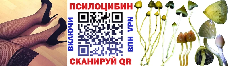 Купить где  Мончегорск  Галлюциногенные грибы GOLDEN TEACHER 